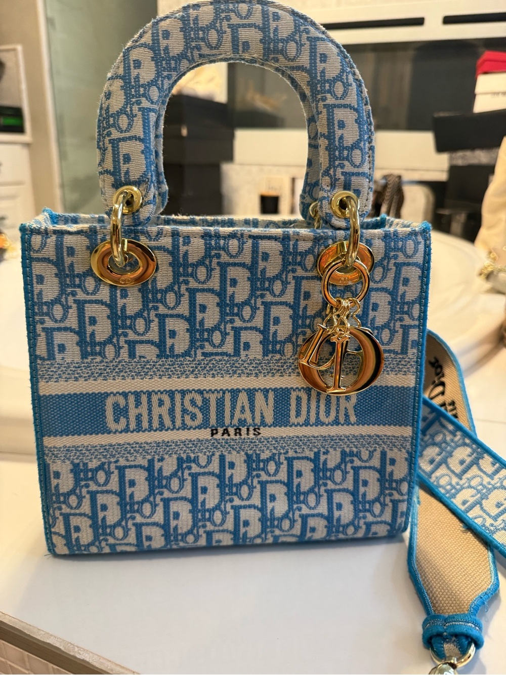 Dior Light Blue Lady Dior Canvas Tote with Gold Hardware
